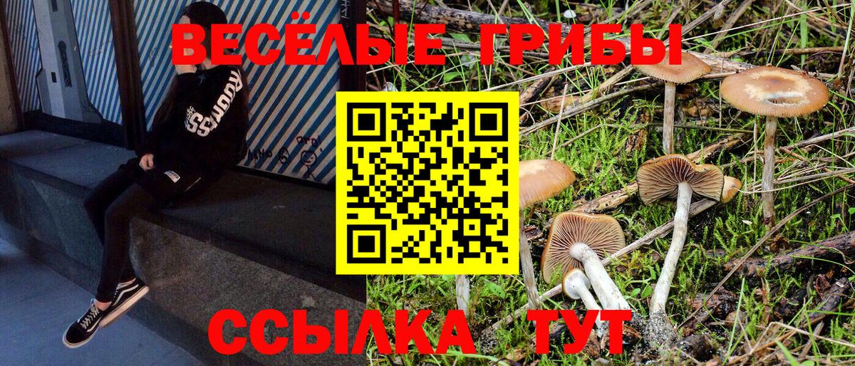 Галлюциногенные грибы Magic Shrooms Владивосток